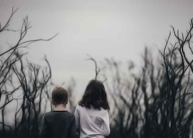 【免费版】无限制的器测压文章